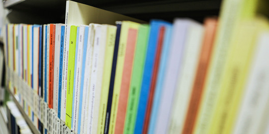 Books with the inscription dissertation on a bookshelf in the library.